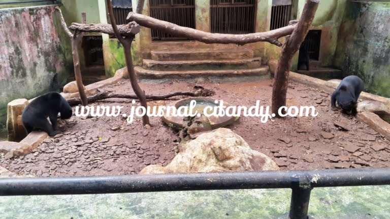 Wisata ke Kebun Binatang Bandung