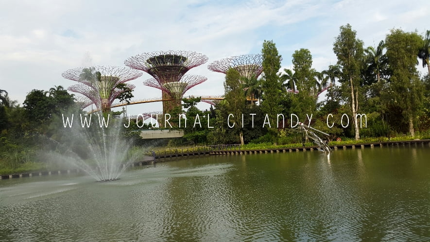 Anak Traveling Garden By The Bay