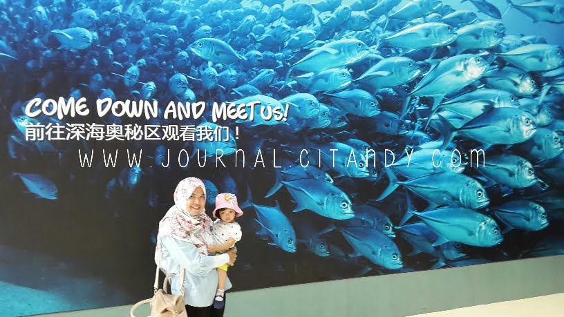 Traveling ke SEA Aquarium Singapore