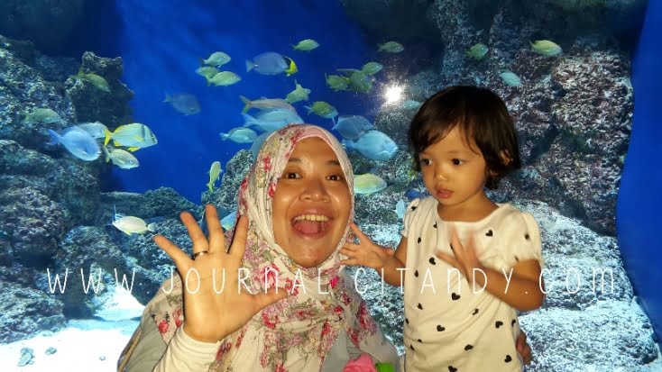 SEA Aquarium Singapore 2016