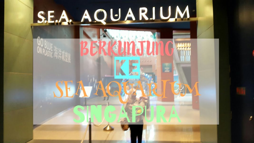 SEA Aquarium Singapore With Toddler