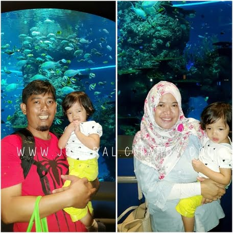 Wisata ke Singapura dengan Anak SEA Aquarium 2016