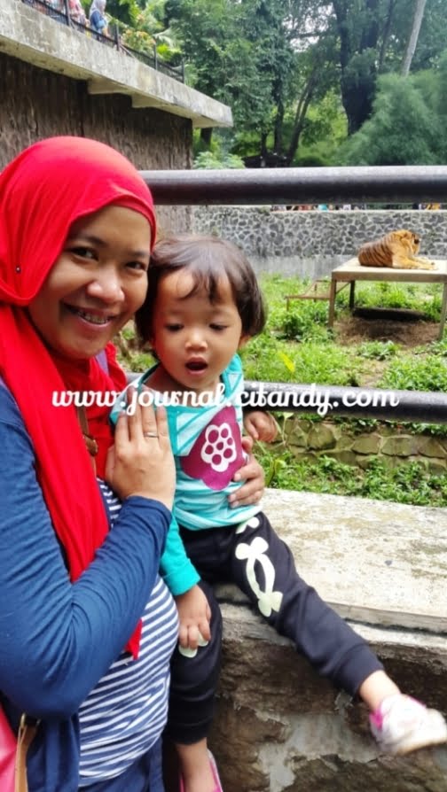 Wisata Keluarga ke Kebun Binatang Bandung