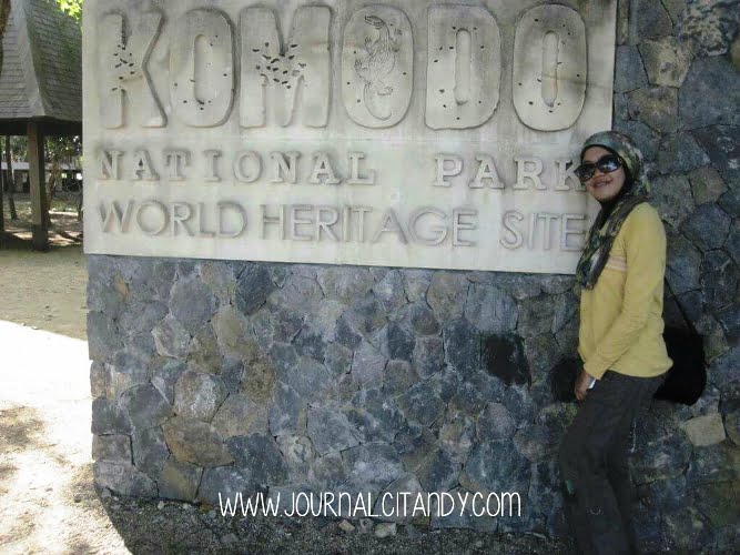 Pulau Komodo NTT